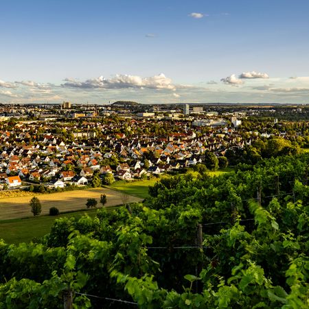 Panoramaaussicht vom Bergweg