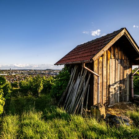 Spaziergang durch die Weinberge