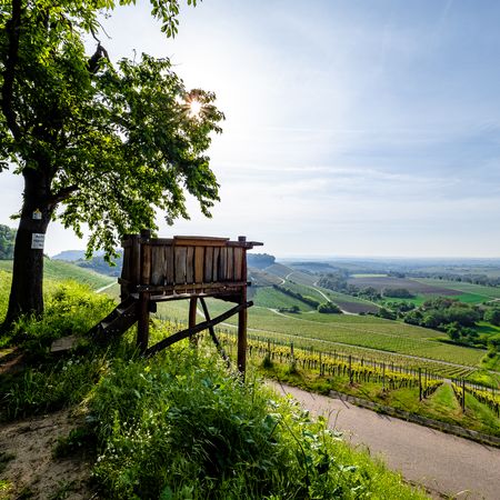 Aussichtskanzel Zweifelberg