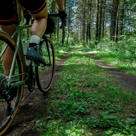 Graveltour durch den Wald