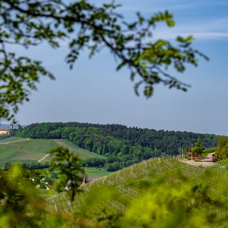 Blick auf dem Zweifelberg zum Weinausschank und Haberschlacht am Fuße des Hügels