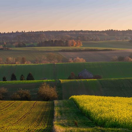 Felder bei Gondelsheim
