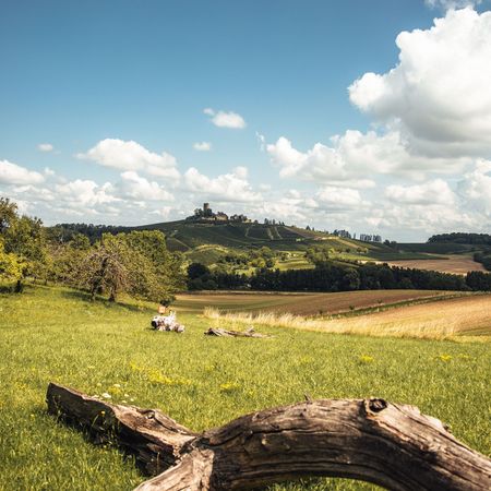 Blick auf die Burg Ravensburg in Sulzfeld