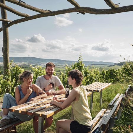 Wein, Natur und gute Gespräche: Weinprobe im Land der 1000 Hügel Drei Personen sitzen an einem Holztisch in den Weinbergen des Kraichgau-Stromberg, genießen Wein und unterhalten sich in einer entspannten Atmosphäre vor einer malerischen Landschaft.