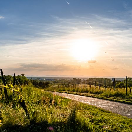 Abendspaziergang beim „Goldknöpfle“ Bad Schönborn