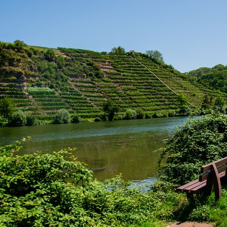 Blick auf den Neckar