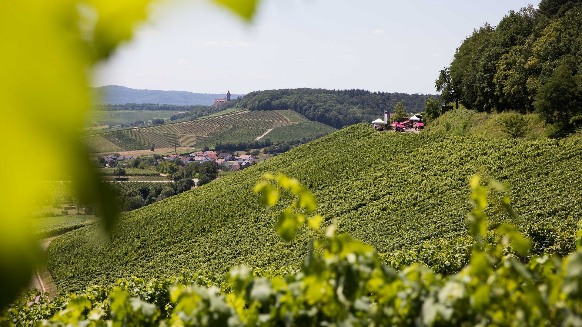Land der 1000 Hügel