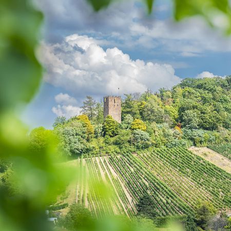 Blick auf den Schlossbergturm in Sternenfels Blick auf den Schlossbergturm in Sternenfels
