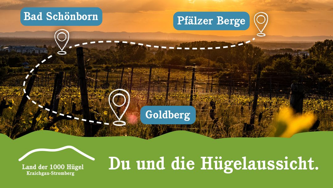 Aussicht vom Goldberg in Bad Schönborn über Rheinebene und Pfälzer Berge