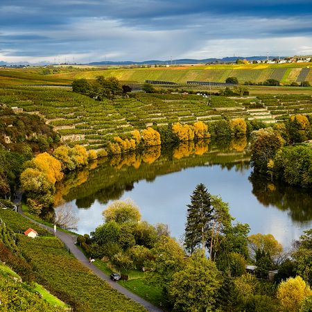 Blick auf den Neckar
