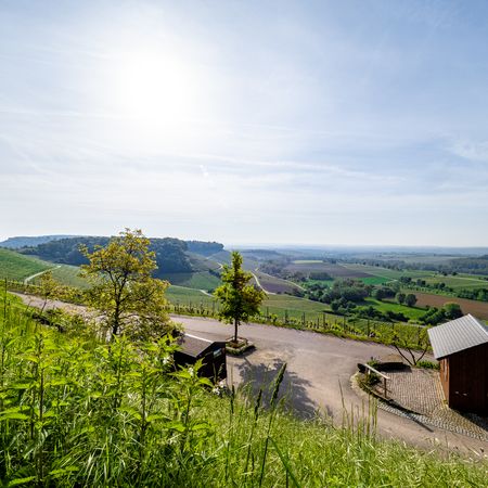 Weinausschank und WEIN-Fotospot Zweifelberg