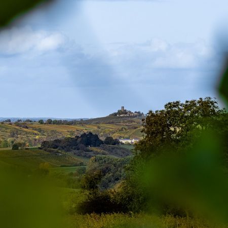Blick auf die Ravensburg