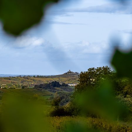 Blick auf die Ravensburg