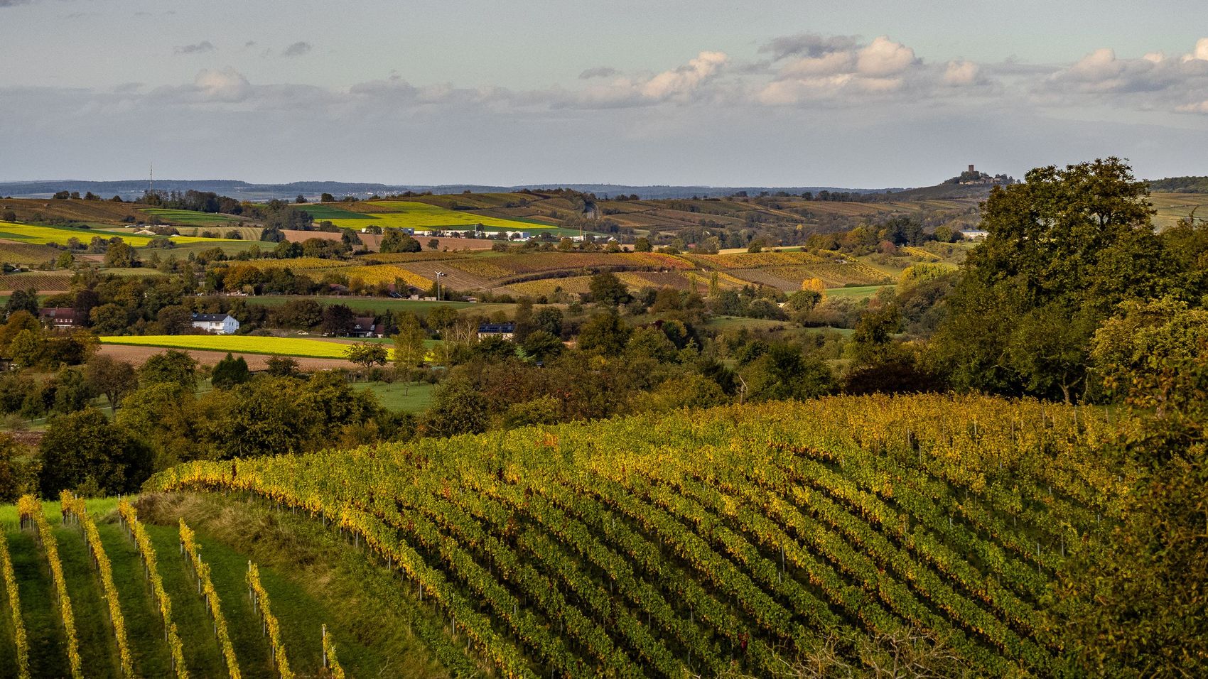 Blick über den Kraichgau bis in den Odenwald