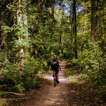 Fahrradweg durch den Wald