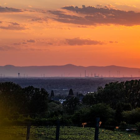 Sonnenuntergang auf dem Goldberg beim Blick auf die Pfälzer Berge