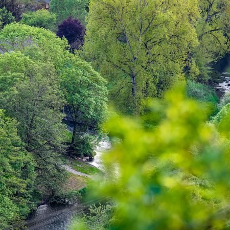 Sicht auf das Enztal von der schönsten Weinsicht in Walheim