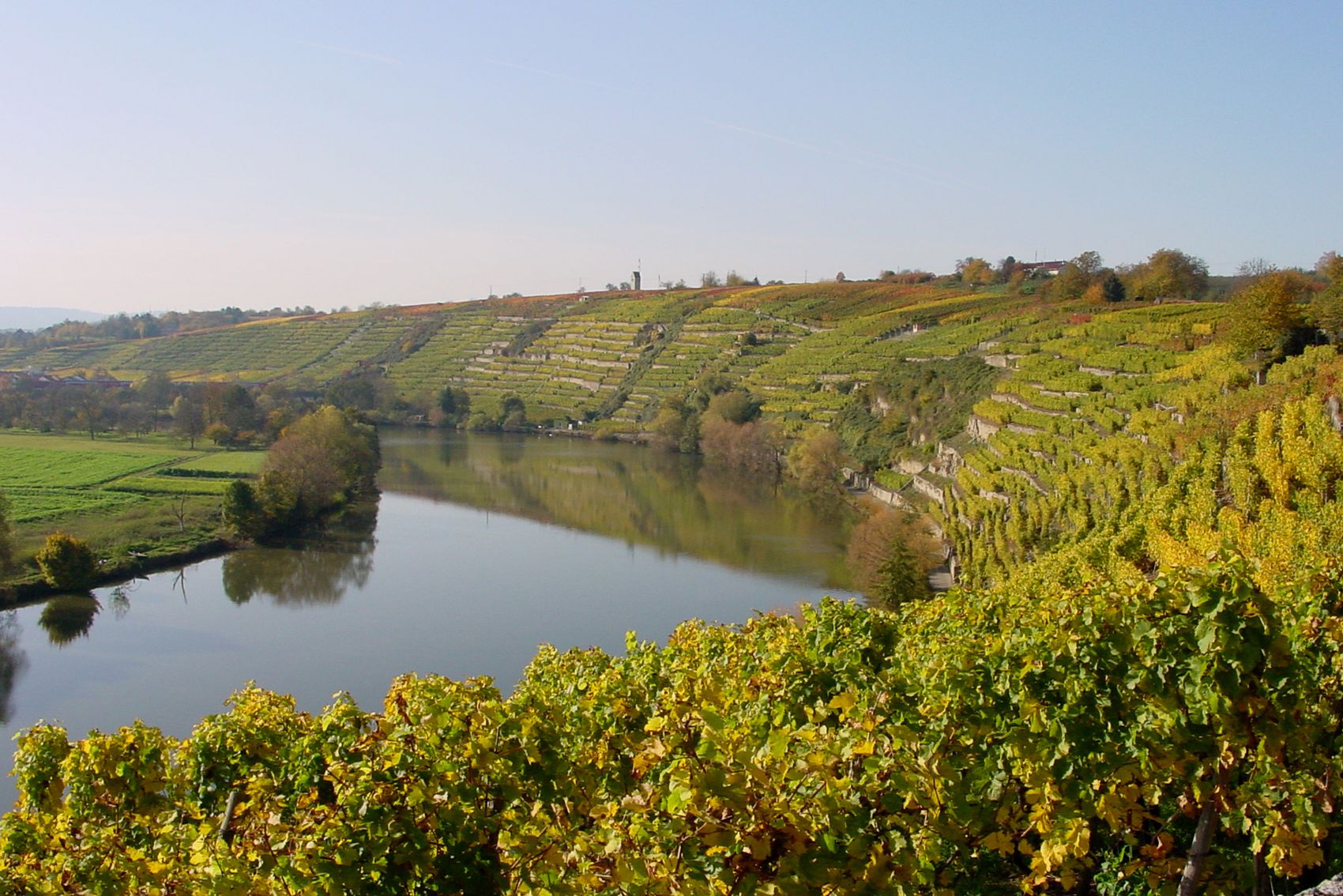 Weinterrassen Kirchheim