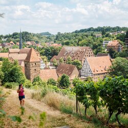 Saddle Stories war im Sommer 2025 auf dem Eppinger-Linien-Weg im Naturpark Stromberg-Heuchelberg unterwegs.