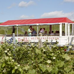 Fotoshooting Brackenheim - Christian Ernst