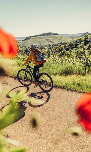 Radfahren Heilbronnner | Württemberger Weinradweg | Radsüden