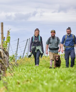 Fotoshooting Wandern - Florian Trykowski
Wandern durch Wald und Weinberge, Hügel-Sofa, Wandern mit Aussicht, evtl. Wandern am See (Bernhardsweiher), Vesper-Pause | © (c)floriantrykowski.de
