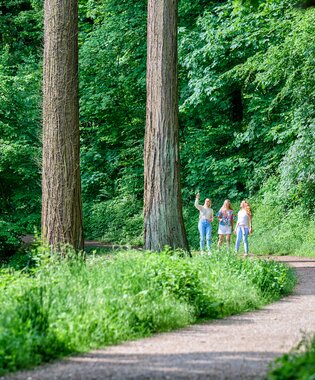 Spaziergang im Exotenwald in Weinheim, Baden-Württemberg, Deutschland | © (c)floriantrykowski.de