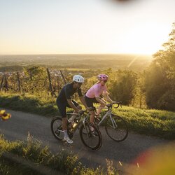 Radfahren in Malsch am Letzenberg, Rhein-Neckar, Baden Württemberg, Deutschland