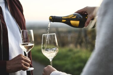 Wandern in den Weinbergen von Malsch, Rhein-Neckar, Letzenberg, Baden Württemberg, Deutschland