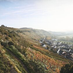 Weingut Roterfaden in Rosswag, Kraichgau-Stromberg, Baden Württemberg, Deutschland