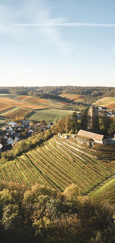 Burg Neipperg im HeilbronnerLand, Baden-Württemberg, Deutschland, Brackenheim