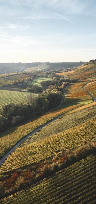 Weinlandschaft im Zabergäu - Naturpark Stromberg-Heuchelberg im HeilbronnerLand, Baden-Württemberg, Deutschland
Brackenheim
