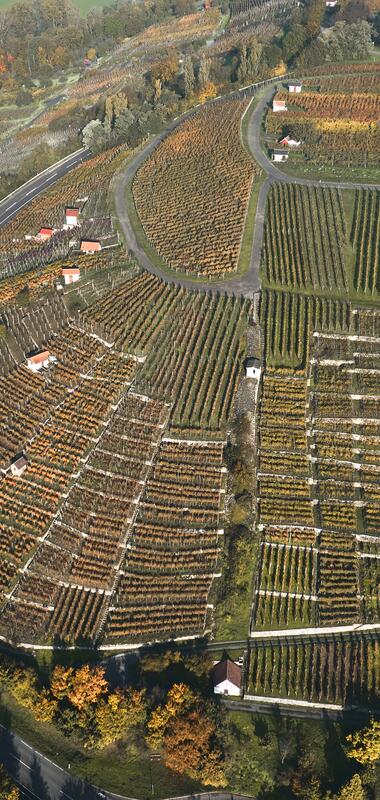 Rosswag, Kraichgau-Stromberg, Baden Württemberg, Deutschland