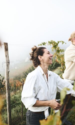 Weingut Roterfaden in Rosswag, Kraichgau-Stromberg, Baden Württemberg, Deutschland