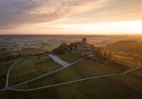 Steinsberg, Rhein-Neckar, Baden Württemberg, Deutschland