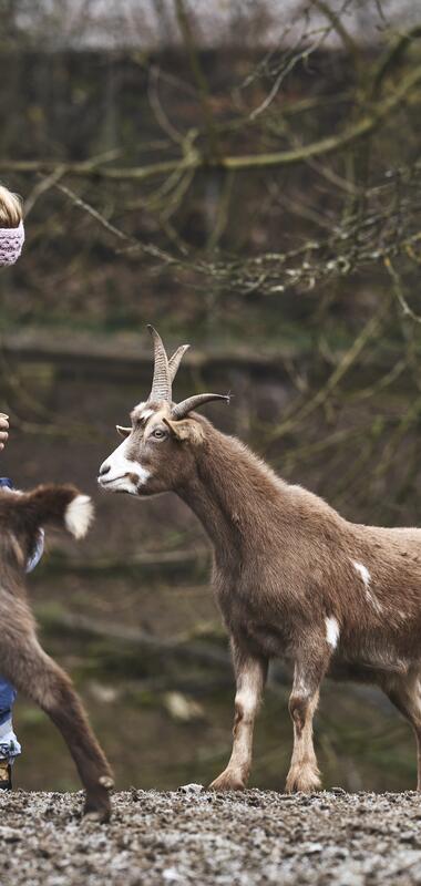 Wildpark in Schwarzach im Odenwald, Baden Württemberg, Deutschland