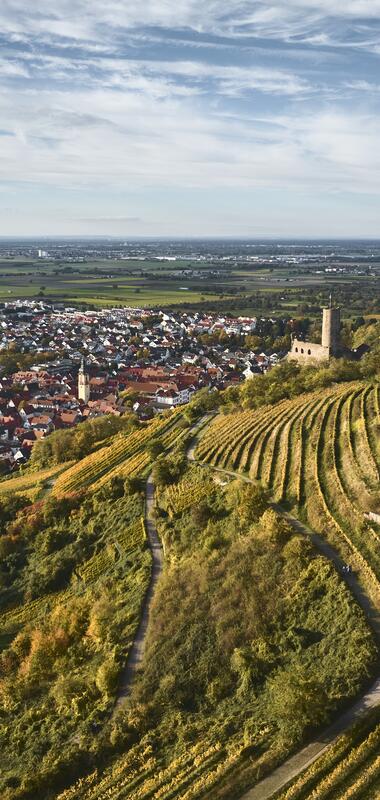 Strahlenburg, Rhein-Neckar, Baden-Württemberg, Deutschland