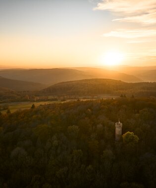 Katzenbuckel-Furm im Waldkatzenbach, Odenwald, Baden-Württemberg, Deutschland