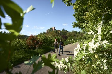 Gamburg im Taubertal, Baden-Württemberg, Deutschland | © Stefan Leitner