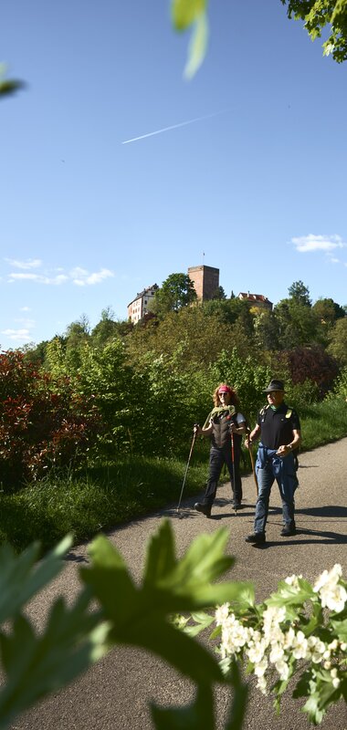 Gamburg im Taubertal, Baden-Württemberg, Deutschland | © Stefan Leitner