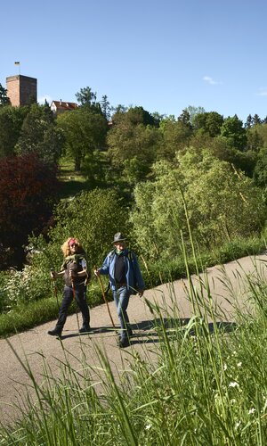 Gamburg im Taubertal, Baden-Württemberg, Deutschland | © Stefan Leitner