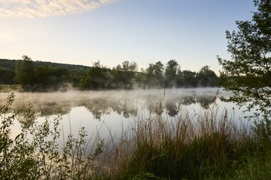 Camping AZUR in Wertheim im Taubertal, Baden-Württemberg, Deutschland | © Stefan Leitner