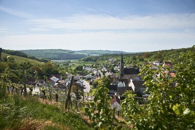 Beckstein im Taubertal, Baden-Württemberg, Deutschland
Weingenuss in Beckstein im Taubertal, Baden-Württemberg, Deutschland
Weingenuss in Beckstein im Taubertal, Baden-Württemberg, Deutschland
Beckstein im Taubertal, Baden-Württemberg, Deutschland
Weingenuss in Beckstein im Taubertal, Baden-Württemberg, Deutschland
Beckstein im Taubertal, Baden-Württemberg, Deutschland
Weingenuss in Beckstein im Taubertal, Baden-Württemberg, Deutschland | © Stefan Leitner