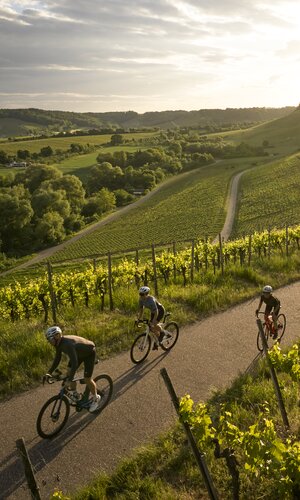 Radfahren am Zweifelberg, Kraichgau-Stromberg, Baden-Württemberg in Deutschland
Radfahren am Zweifelberg bei Brackenheim, Zabergäu, Kraichgau-Stromberg, HeilbronnerLand, Baden-Württemberg in Deutschland