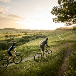Radfahren am Zweifelberg, Kraichgau-Stromberg, Baden-Württemberg in Deutschland | © Stefan Leitner