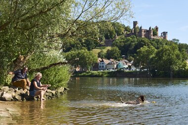 Spazieren am Main mit Hund, Taubertal, Baden-Württemberg, Deutschland | © Stefan Leitner