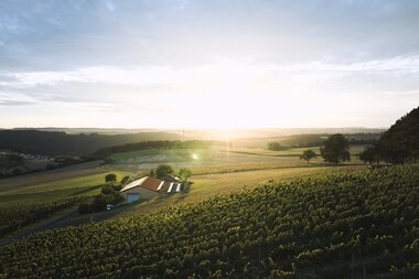 Weingut Schlör in Reicholzheim, Taubertal, Baden-Württemberg, Deutschland