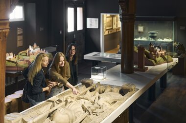 Grafschaftsmuseum Wertheim, Liebliches Taubertal, Baden-Württemberg, Deutschland | © Stefan Leitner