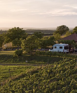 Weingut Schlör in Reicholzheim, Taubertal, Baden-Württemberg, Deutschland