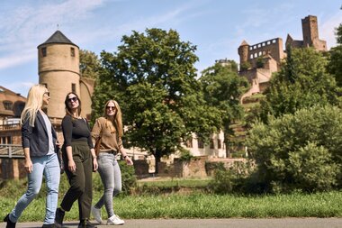Wertheim, Liebliches Taubertal, Baden-Württemberg, Deutschland | © Stefan Leitner